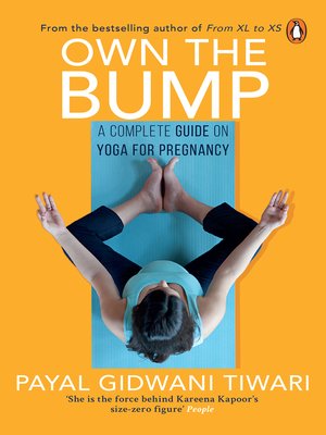 cover image of Own the Bump